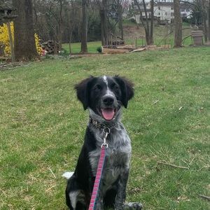 Meet your Posher, Ben